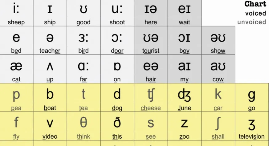the-phonemic-chart-deutsch-daf-arbeitsbl-tter-pdf-doc