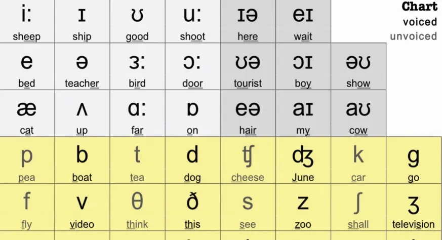 Phonetic Symbols In The English IPA EklavyaParv